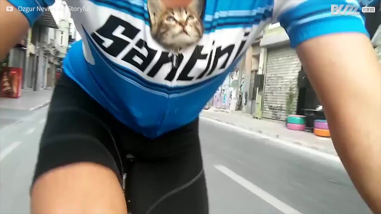 Ciclista trova gattino abbandonato e lo porta con sé dentro la maglia