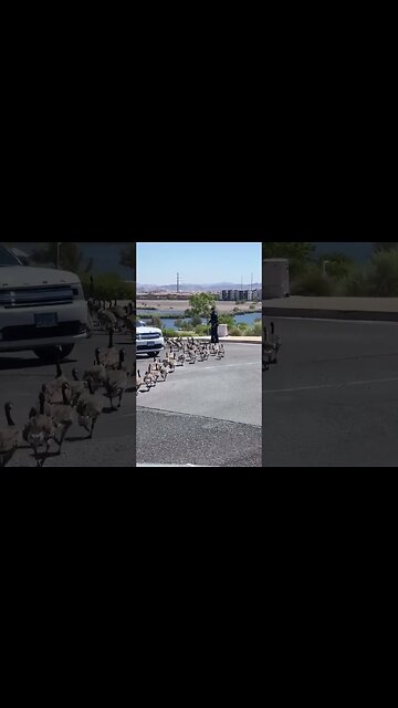 Being a police officer has its perks …