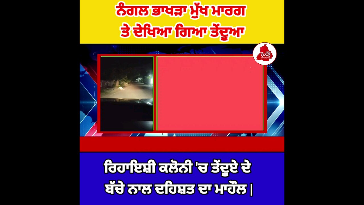 Breakingnews : ਨੰਗਲ ਭਾਖੜਾ ਡੈਮ ਮੁੱਖ ਮਾਰਗ ਸੁਸ਼ੀਲ ਮਾਰਗ ਤੇ ਦੇਖਿਆ ਗਿਆ ਸ਼ਿਕਾਰ ਕਰਦਾ ਤੇਂਦੂਆ| #BreakingNews