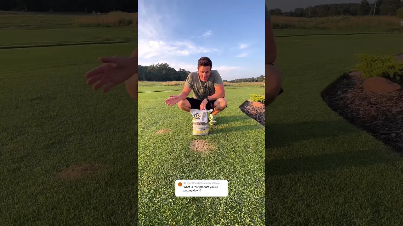 Fixing Dog Pee Spots with TurfMend