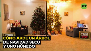 ¿En cuántos segundos puede arder un árbol de Navidad en una casa?