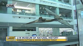 UM Museum of Natural History