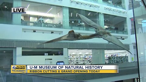 UM Museum of Natural History