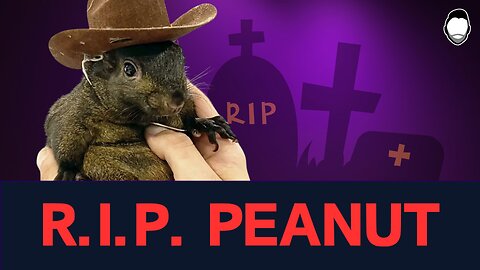 R.I.P. Peanut: Government Execution Ignites MAGA Meme Firestorm