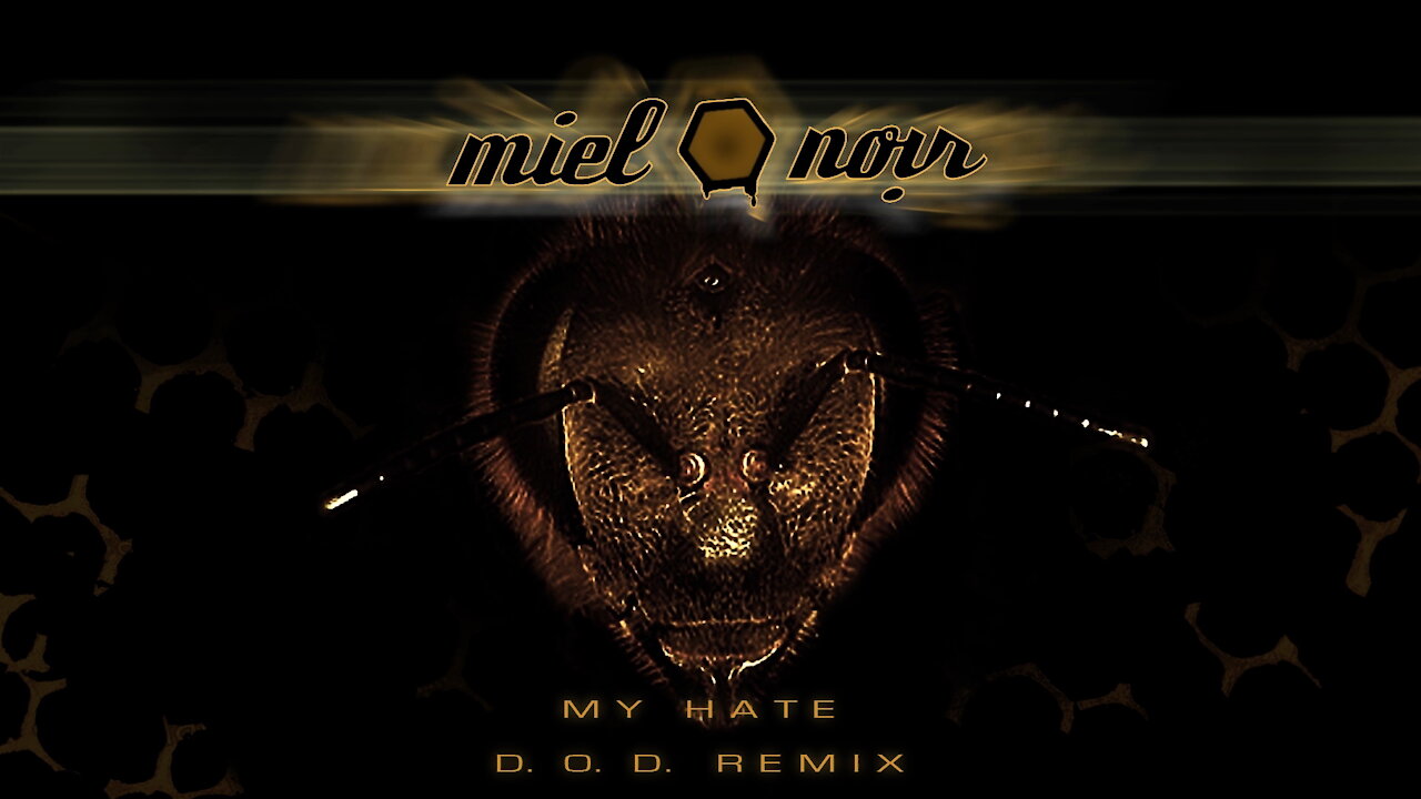 Miel Noir : My Hate (Darkness On Demand Remix)