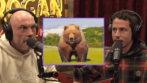 Joe Rogan: When A Grizzly Bear STEALS Your Elk