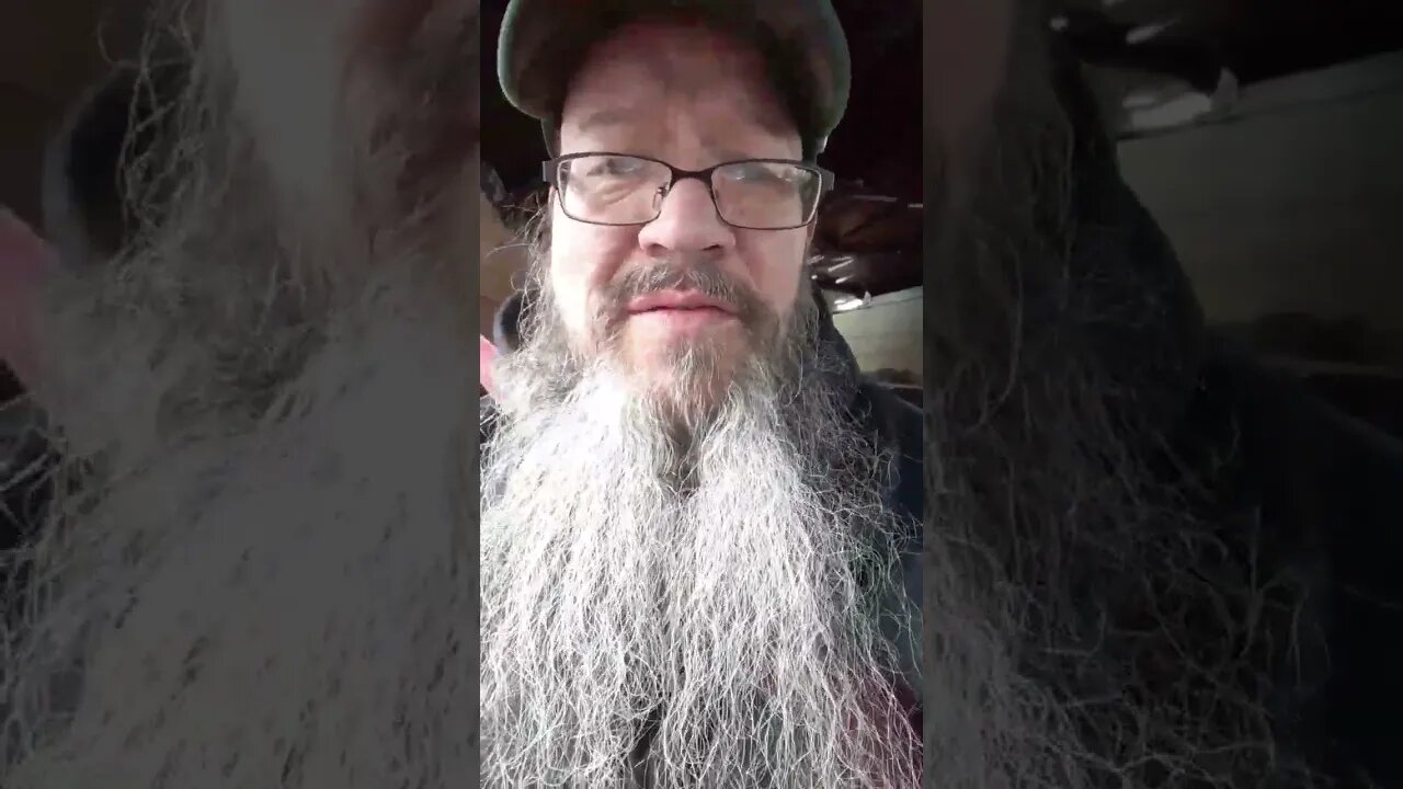 shaving will break the universe #dontmakesteveshave #yerolpalstever #stevecutlerlive