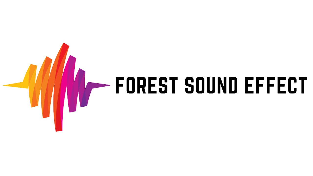 Forest Sound Effect