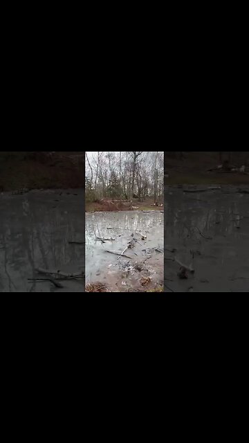 Mother Nature destroyed this Park