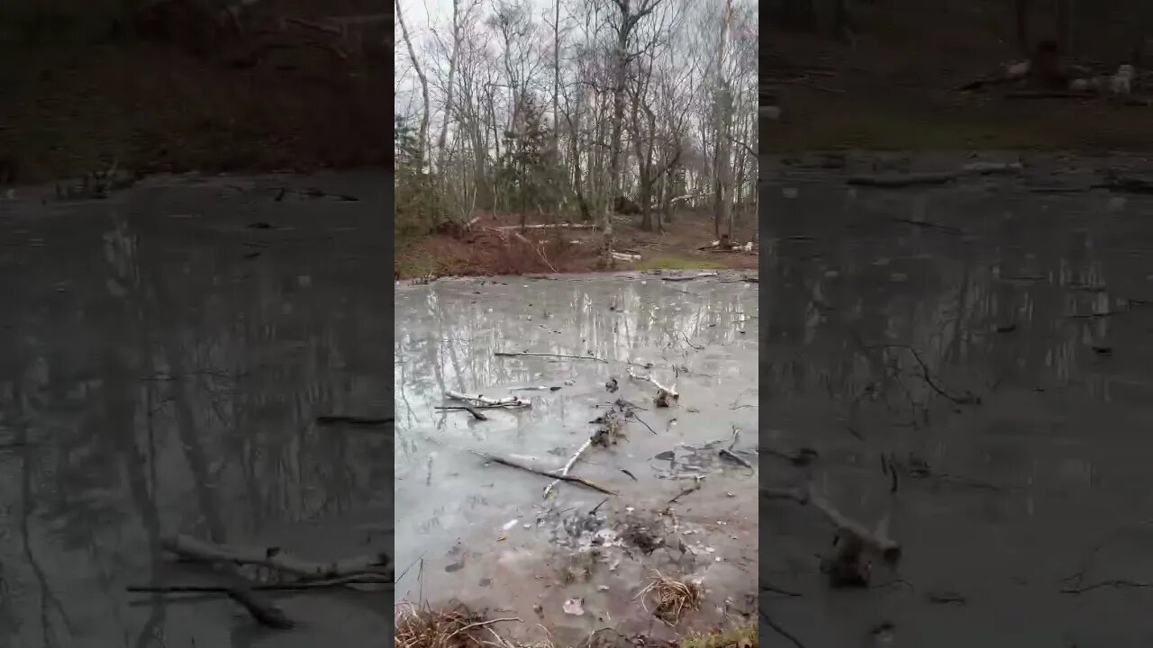 Mother Nature destroyed this Park