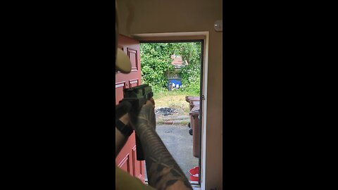 Backyard Plinking-VMP1