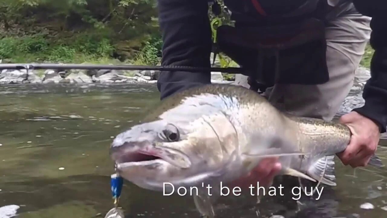 Caught A Snagged Steelhead With A Treble Hook In His SIDE!! (UNREAL!!)