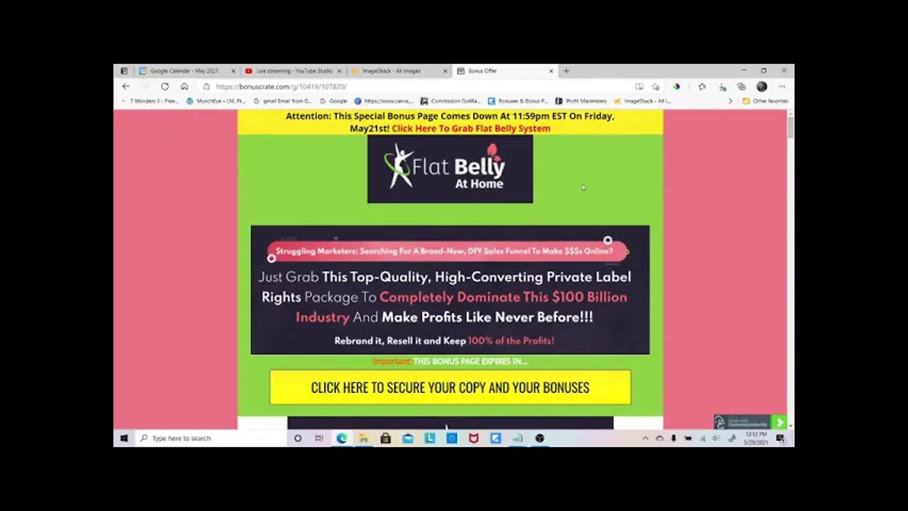 FLAT BELLY AT HOME REVIEW 🤑🤑 MAKE MONEY SELLING COMPLETE MARKET READY DFY EVERGREEN PRODUCT🤑🤑