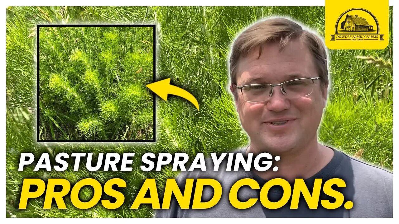 The Economics of Spraying Our Pastures with Herbicide