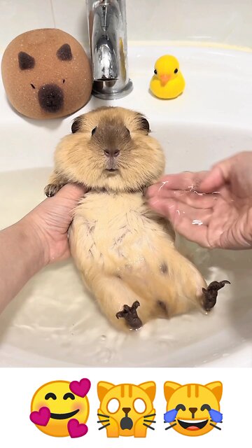 Wait, I thought we were just playing! 💦