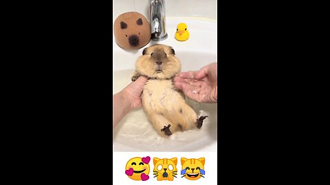 Wait, I thought we were just playing! 💦