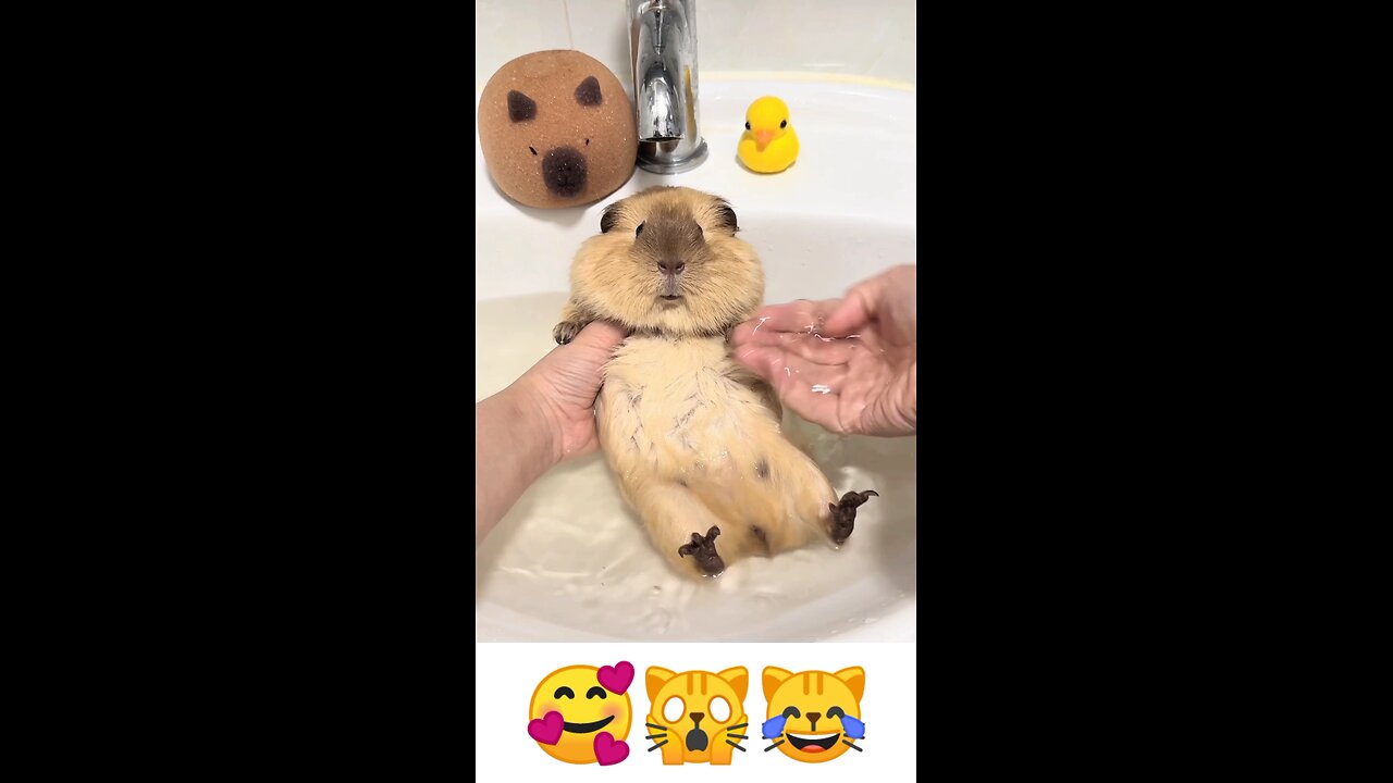 Wait, I thought we were just playing! 💦