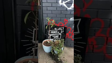 Romanticising The Mundane tiktok lifebymaddy