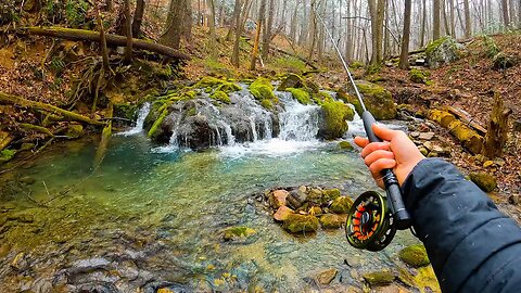 Fly Fishing a Beautiful Small Stream! || $1000 Rod and Reel Combo: Worth the Money?