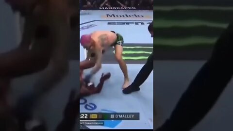 Sean O'Malley just wrecked Aljamain Sterling #ufc #seanomalley