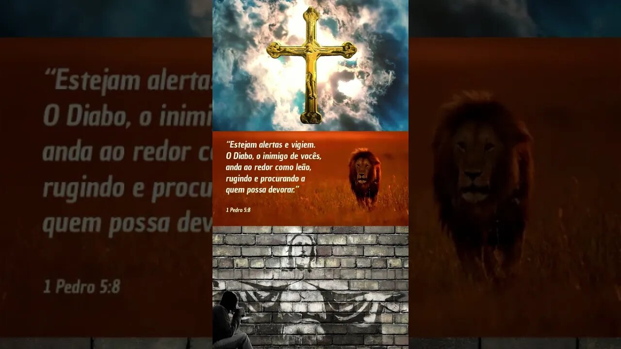 motivação da manha video lindo.#gospel #oracao #bomdia #deusnocomando #sabedoria #jesuscristo #ora