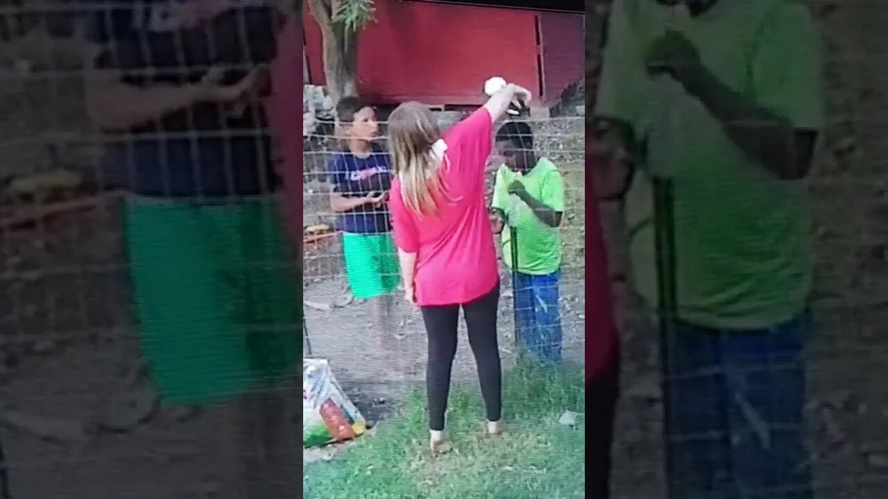 Chicken on the Head