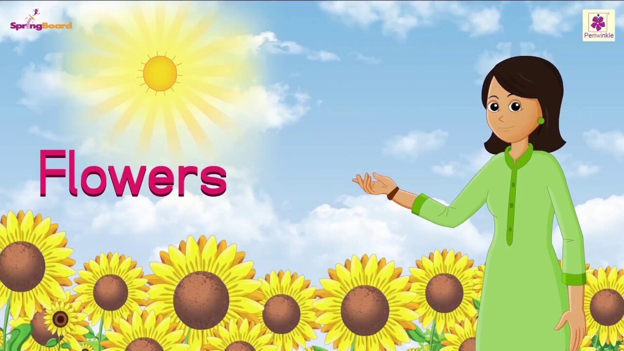 Yellow Flower 2024 - New Nursery Rhyme Song 2024 - Cartoons for Babies - English Learning Poems