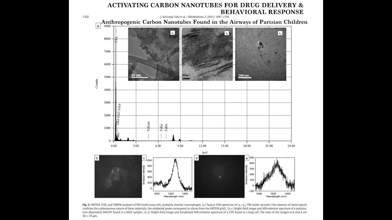 Carbon Nanotubes & Behavior Control, PhD Sent me an Email, Listen to this