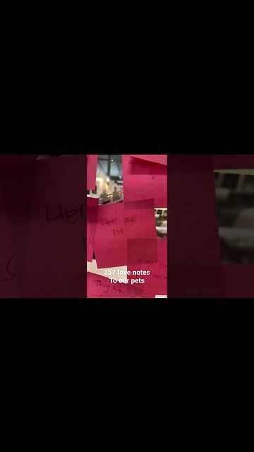 257 love notes to our pets ❤️🐾 #art #pets #zoomies #dogs #cats #appreciation #love