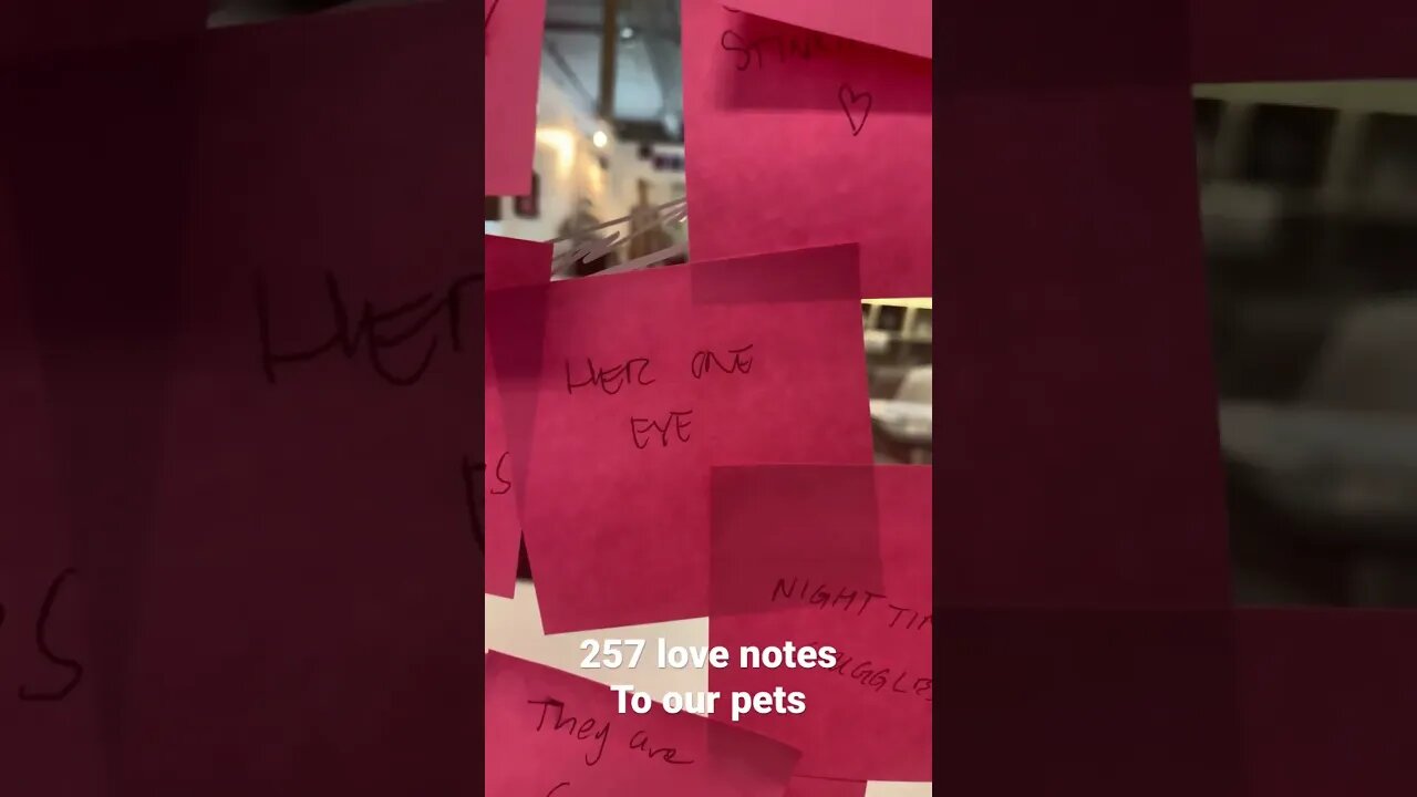 257 love notes to our pets ❤️🐾 #art #pets #zoomies #dogs #cats #appreciation #love