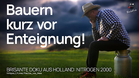 Nitrogen 2000 - Deutsch