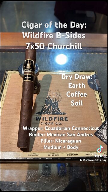 Wildfire B-Sides 7x50 Churchill #Short #CigarOfTheDay #Shorts #CigarReview #Cigars