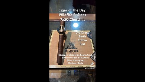 Wildfire B-Sides 7x50 Churchill #Short #CigarOfTheDay #Shorts #CigarReview #Cigars