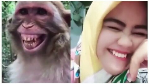 So Funny Video Hehehe 🤣