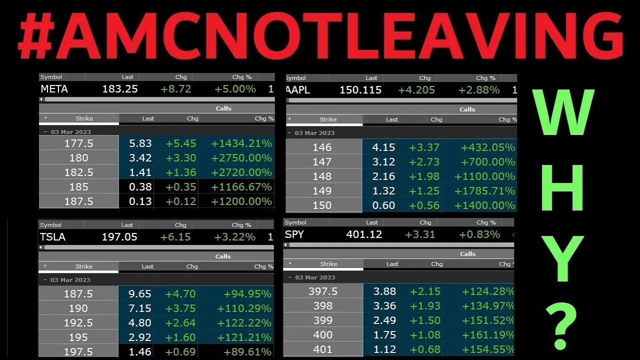 AMC NOT LEAVING ? $META (FACEBOOK) CALLS UP 3000% APPLE 1700% TSLA / SPY NEARLY 200% AA MUST GO