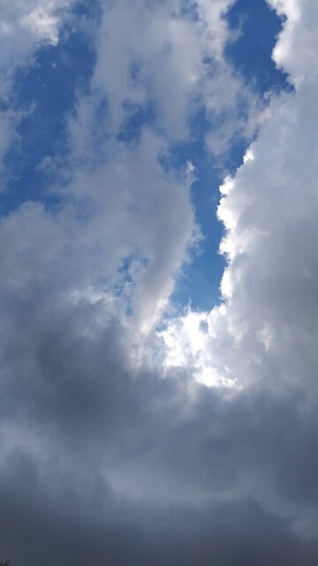 Nature in late winter