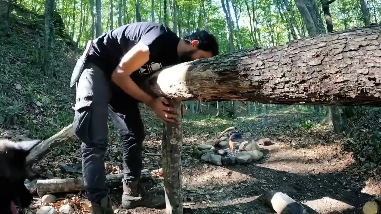 Camping, building wood and rock forest houses and fireplaces, quail cooking - survival, DIY $$ 1