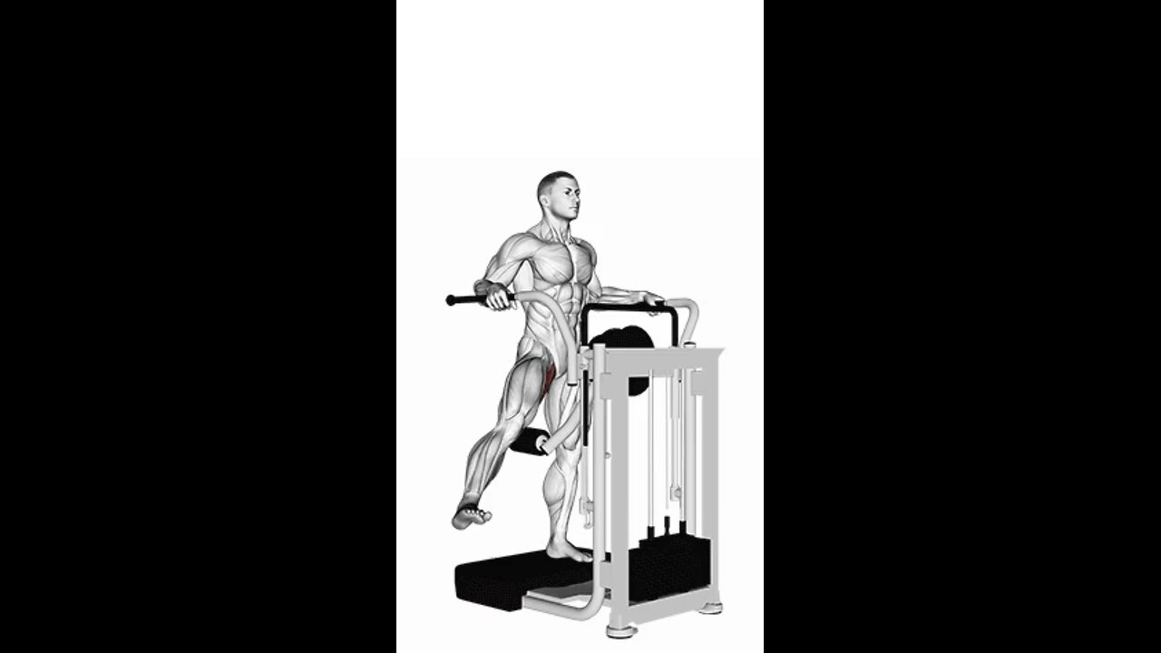 Lever Side Hip Adduction Exercise.