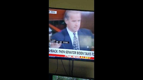Joe Biden 1993