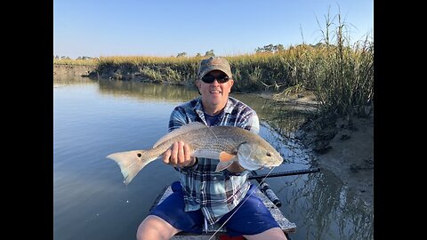 Redfish in back creeks