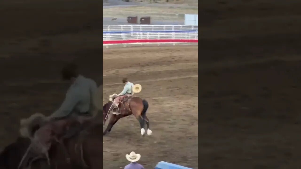 Cody Night Rodeo #shorts