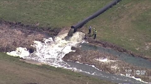 What damage has already been done to Tampa Bay after Piney Point