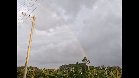 Rainbow in the sky