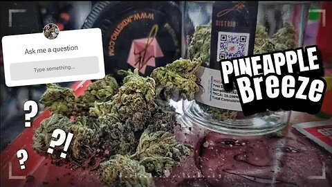 PINEAPPLE BREEZE STRAIN THCA – BLACK LABEL TOP SHELF | JK DISTRO