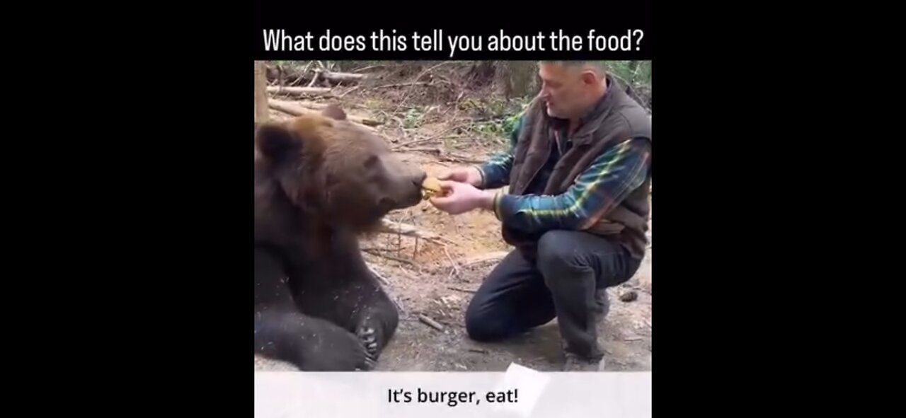 THE BEAR FACTS ABOUT BAD FOOD