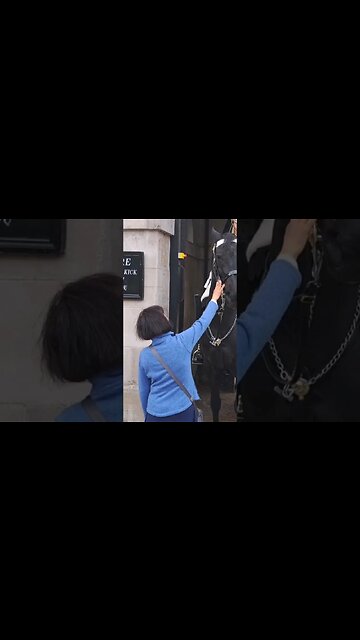 Arnie is back she could loose her hand #horseguardsparade