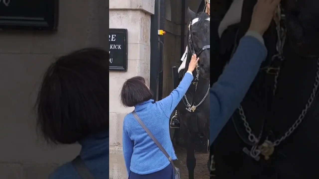 Arnie is back she could loose her hand #horseguardsparade