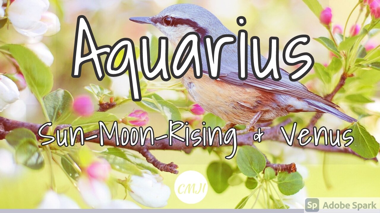 Aquarius March "Amazing opportunity "