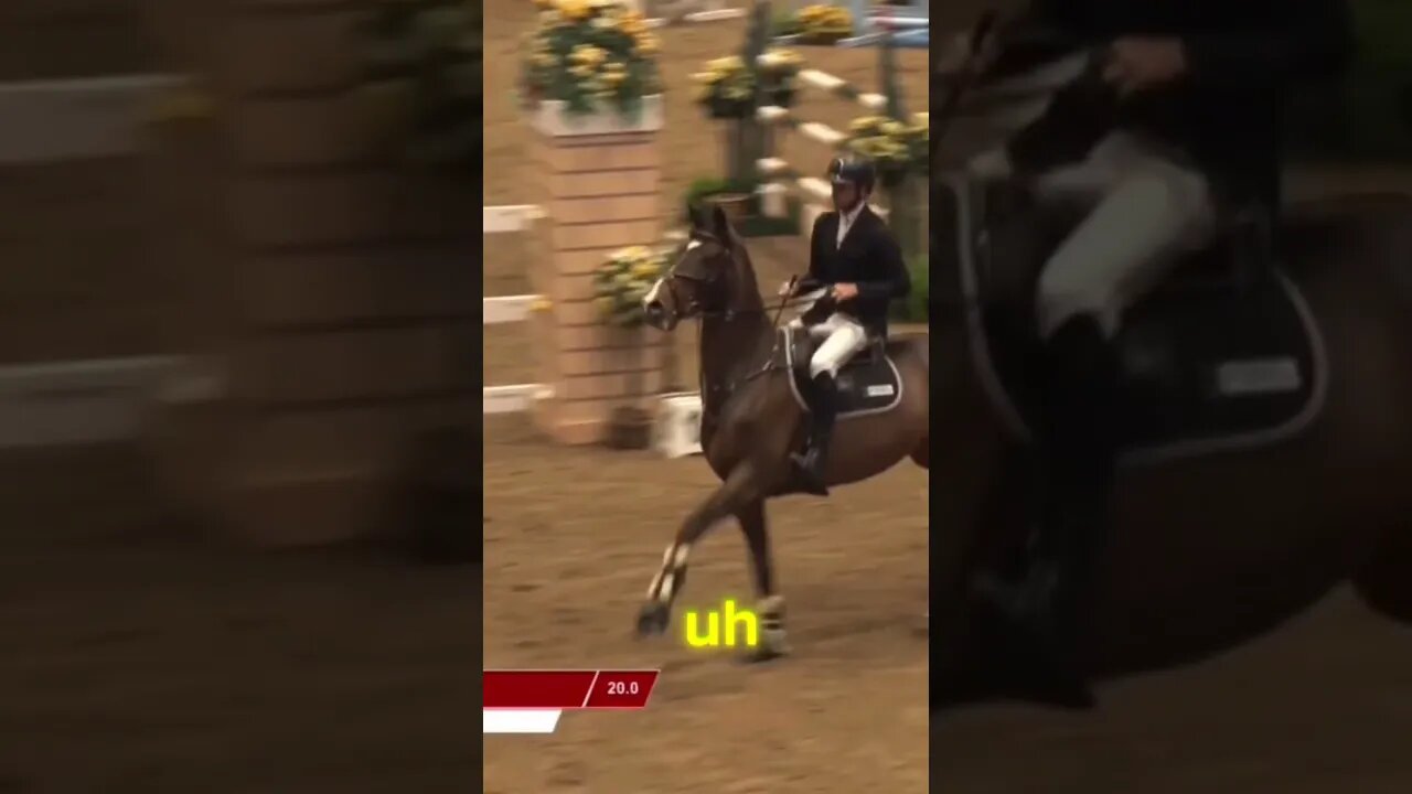 Episode Ten of the Rein It In Podcast #horse #horselover #horses