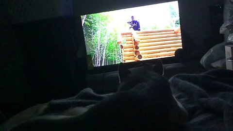 Chana watching 2 guys and a gal build a cabin on YouTube at 03:30 on Friday, 15-September-2023…